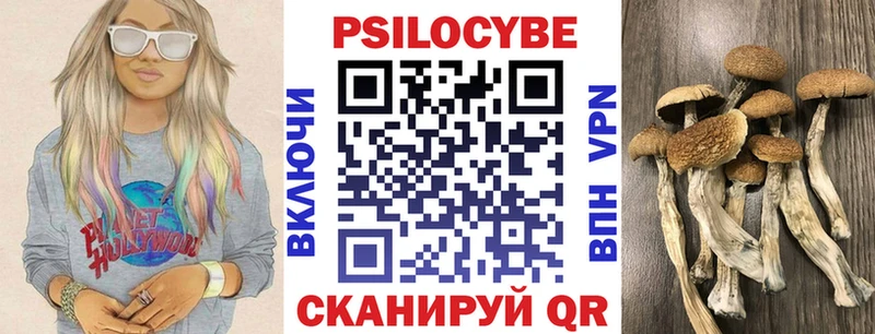 Галлюциногенные грибы Psilocybine cubensis  Серафимович 